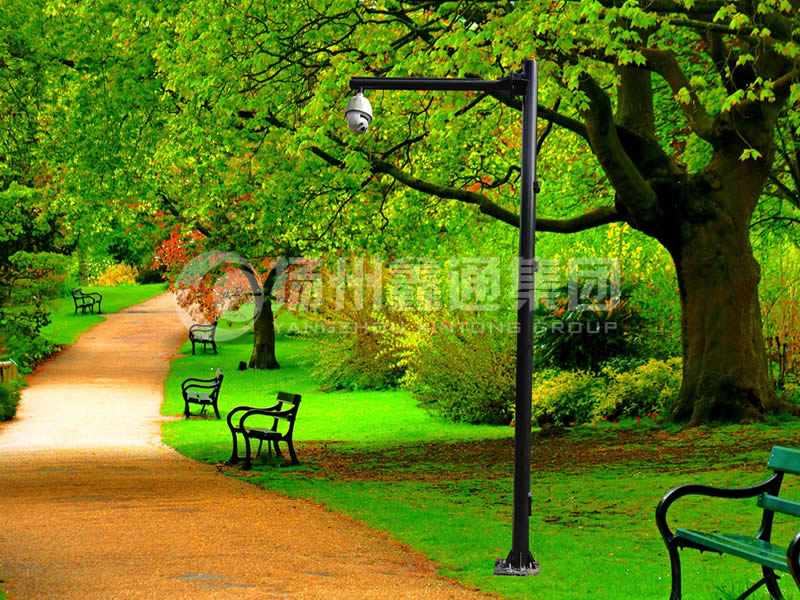 DJG-026，電子監(jiān)控桿，公園監(jiān)控桿